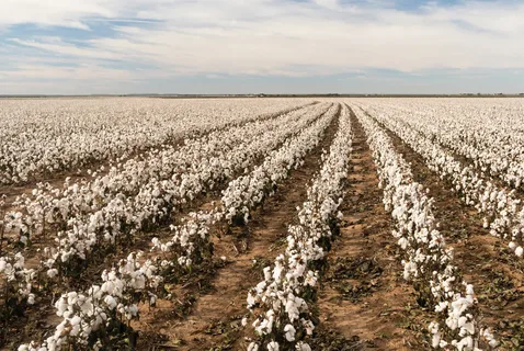 لیست قیمت پارچه یکرو پنبه