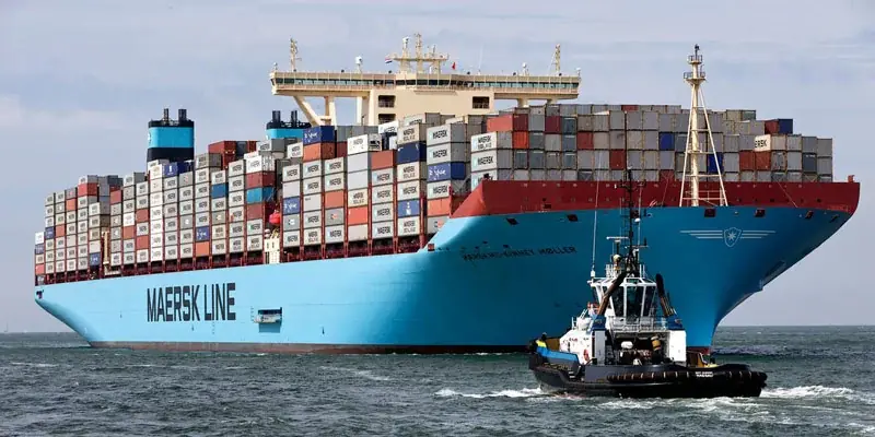 صادرات پارچه گردباف